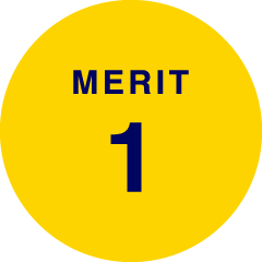 MERIT 1