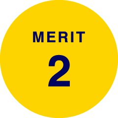 MERIT 2