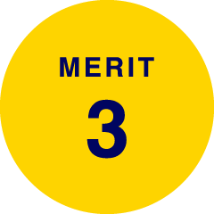 MERIT 3