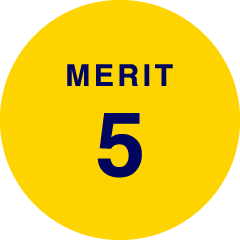 MERIT 5