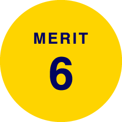 MERIT 6